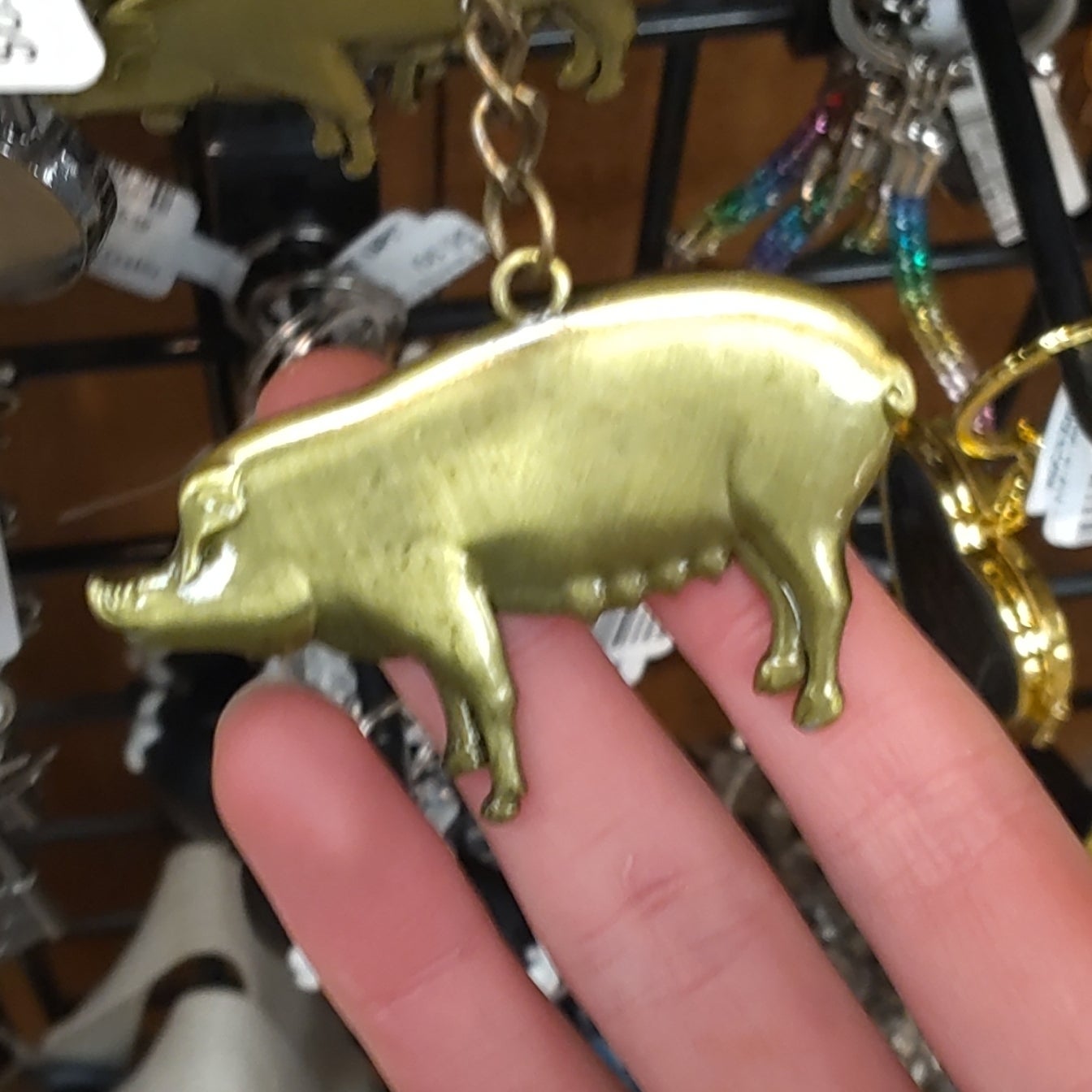 11458 Rachel The Pig Kc