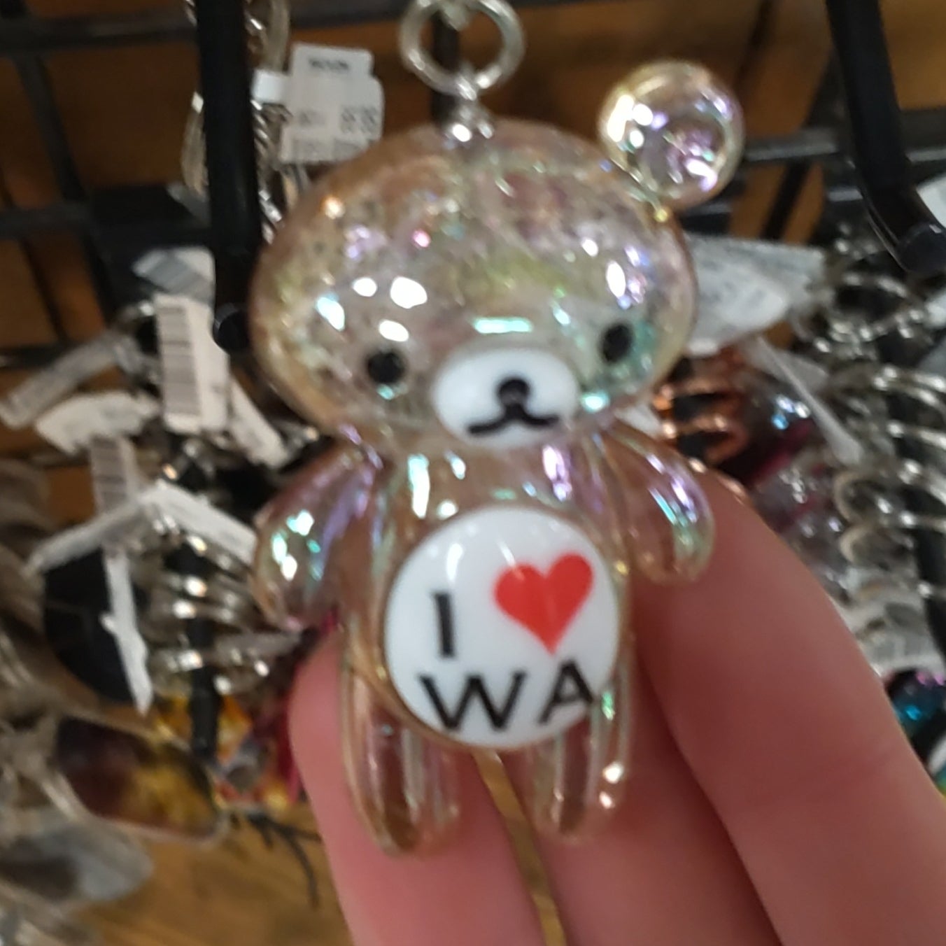 40206 Wa Arcylic Bear.