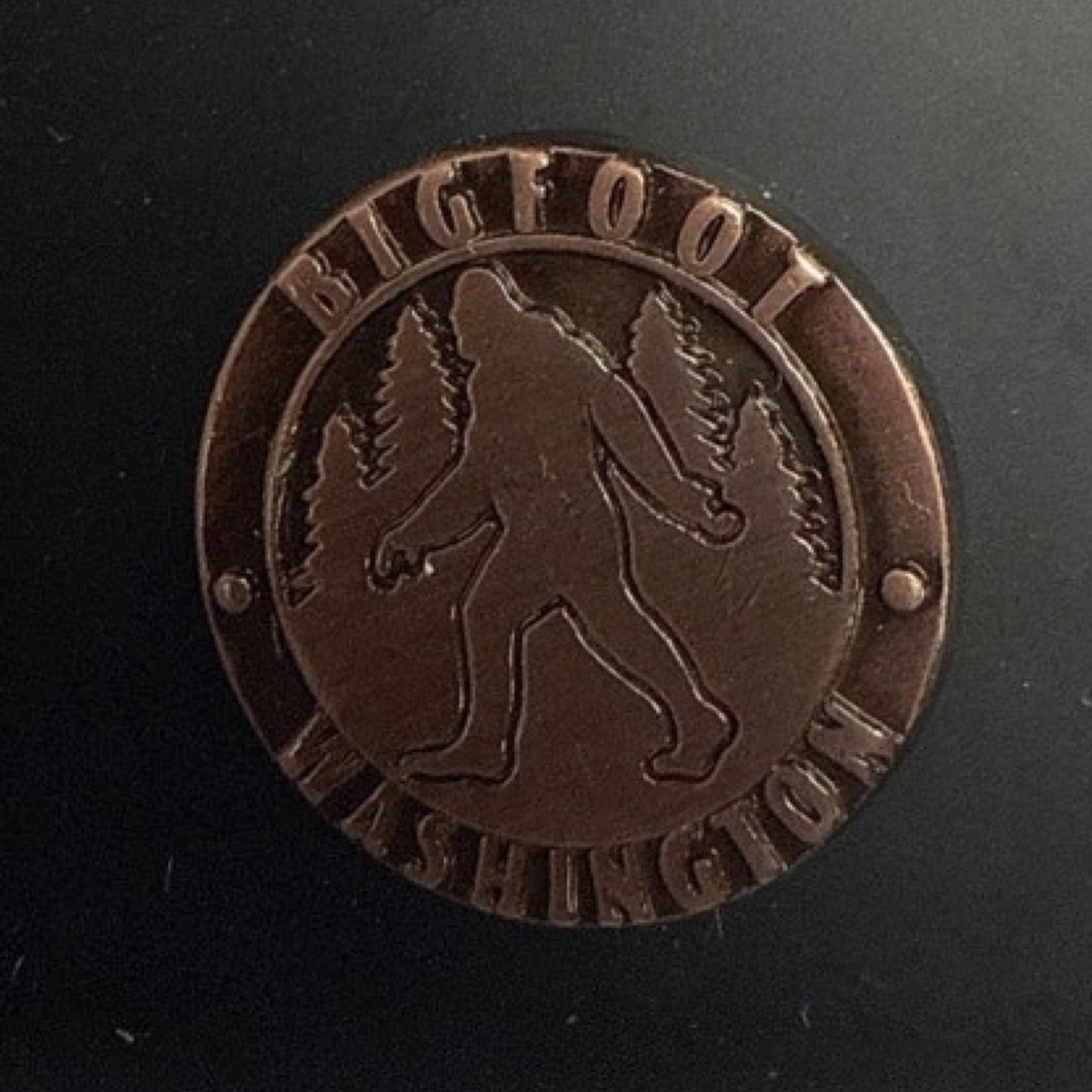 61778 Wa Bigfoot Lapel Pin
