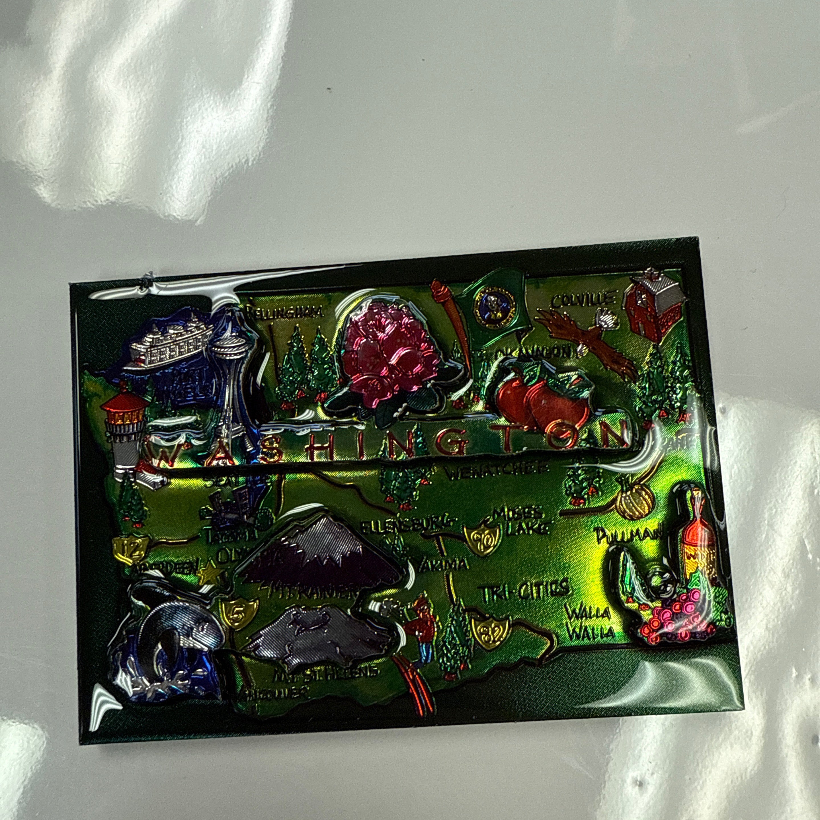 22139 Mapshape 3-D Poxy Magnet