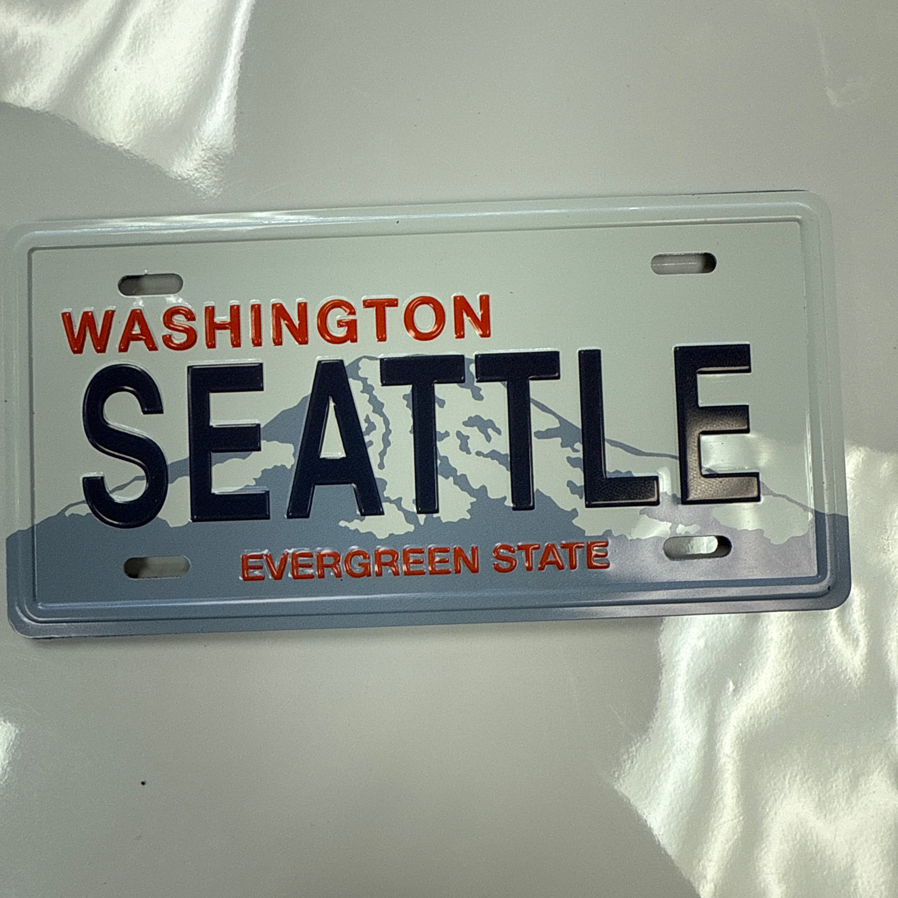41568 Sea Lg License Plate Magnet